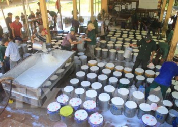 Xúc tiến thị trường thúc đẩy tiềm năng phát triển ngành nhựa, cao su