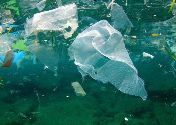 Cùng tìm hiểu về giải pháp giúp thế giới giải quyết nạn ô nhiễm chất thải plastic