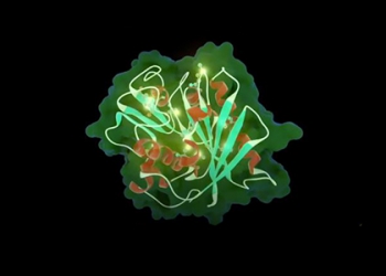 Phát triển thành công enzyme có khả năng phân hủy nhựa
